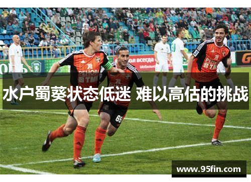 水户蜀葵状态低迷 难以高估的挑战